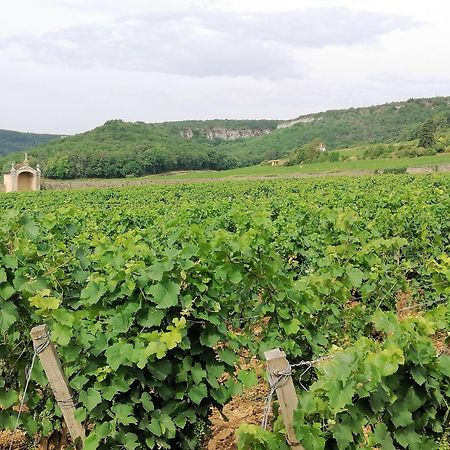 Gite Hautes Cotes De Nuits Curtil-Vergy Exterior foto