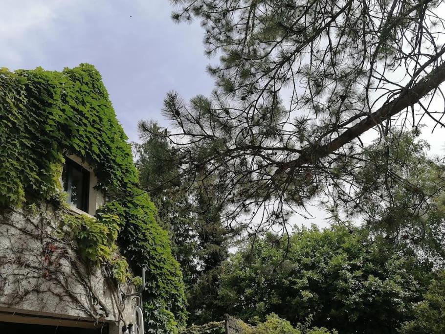 Gite Hautes Cotes De Nuits Curtil-Vergy Exterior foto