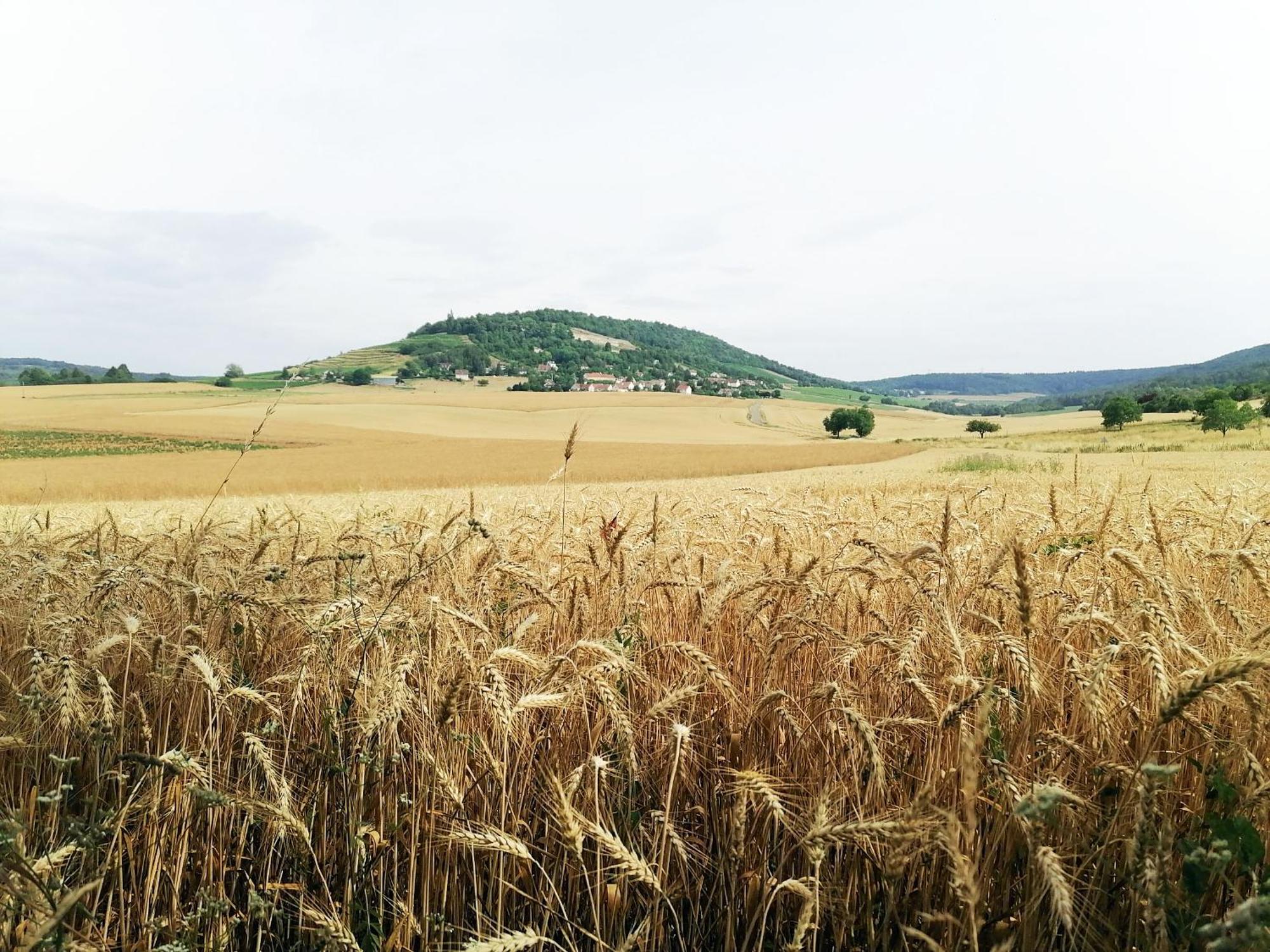 Gite Hautes Cotes De Nuits Curtil-Vergy Exterior foto