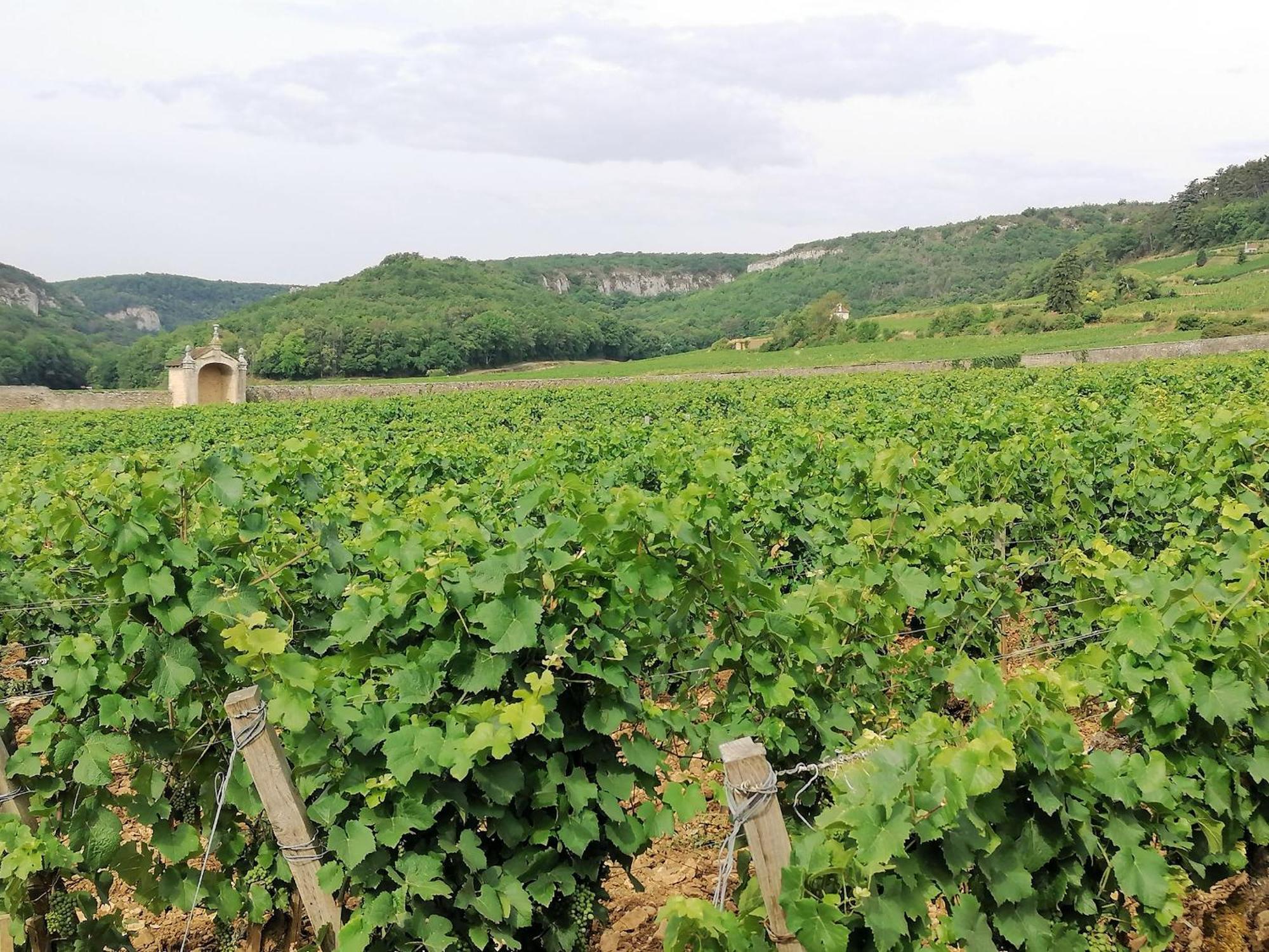 Gite Hautes Cotes De Nuits Curtil-Vergy Exterior foto
